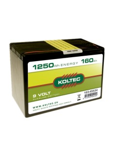 Pila Alcalina Koltec 9V-1250WH (160AH): Potencia y Durabilidad